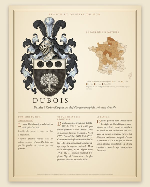 Exemple, famille Dubois : l'affiche complète, avec le parcours de la famille, la carte des naissances du nom et l'explication de chaque pièce